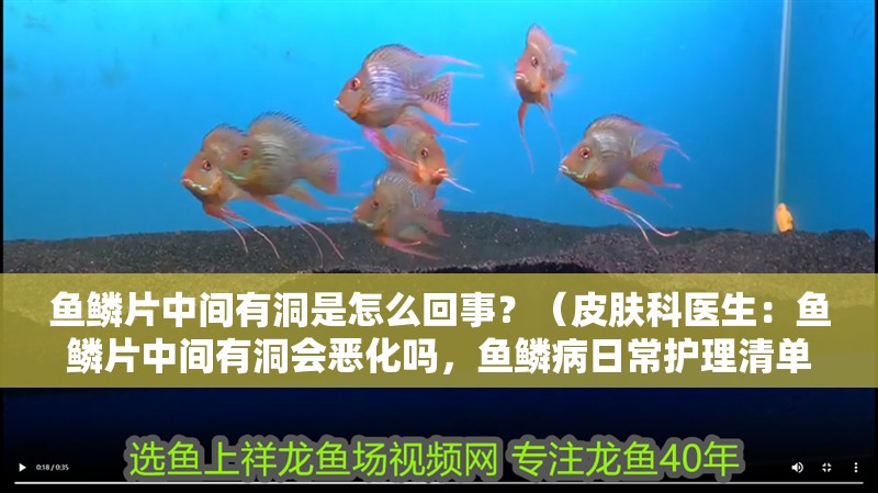 魚鱗片中間有洞是怎么回事？（皮膚科醫(yī)生：魚鱗片中間有洞會惡化嗎，魚鱗病日常護理清單）