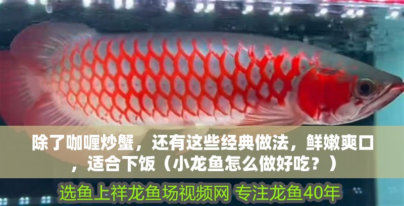 除了咖喱炒蟹，還有這些經(jīng)典做法，鮮嫩爽口，適合下飯（小龍魚怎么做好吃？）