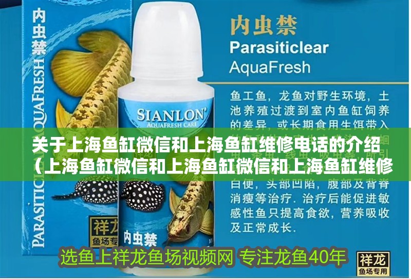 關于上海魚缸微信和上海魚缸維修電話的介紹（上海魚缸微信和上海魚缸微信和上海魚缸維修電話介紹）