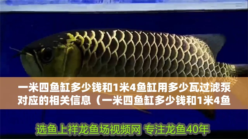 一米四魚缸多少錢和1米4魚缸用多少瓦過濾泵對應的相關信息（一米四魚缸多少錢和1米4魚缸用多少瓦過濾泵）