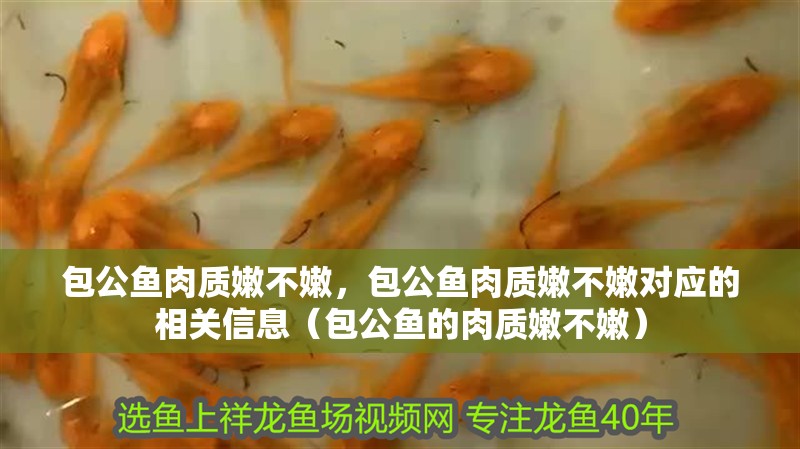 包公魚(yú)肉質(zhì)嫩不嫩，包公魚(yú)肉質(zhì)嫩不嫩對(duì)應(yīng)的相關(guān)信息（包公魚(yú)的肉質(zhì)嫩不嫩）