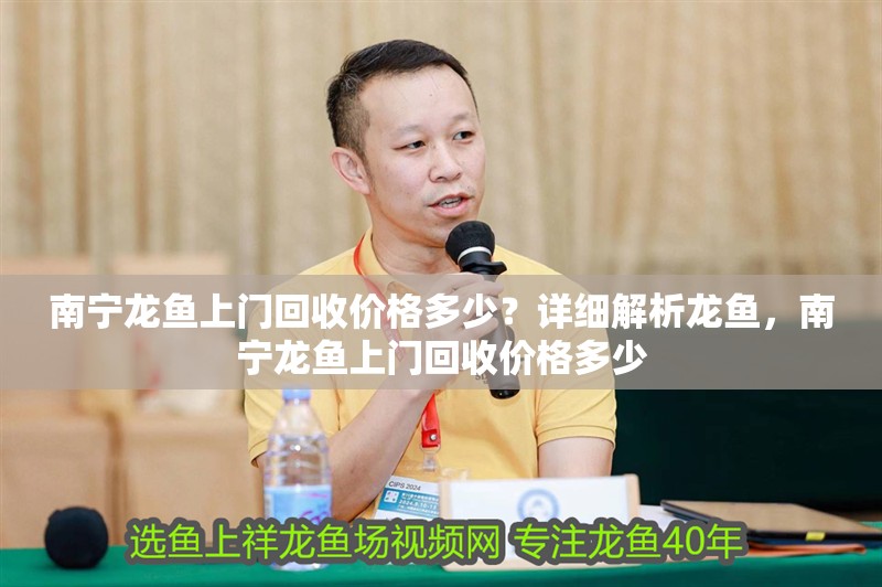 南寧龍魚上門回收價(jià)格多少？詳細(xì)解析龍魚，南寧龍魚上門回收價(jià)格多少
