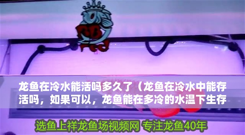 龍魚在冷水能活嗎多久了（龍魚在冷水中能存活嗎，如果可以，龍魚能在多冷的水溫下生存）