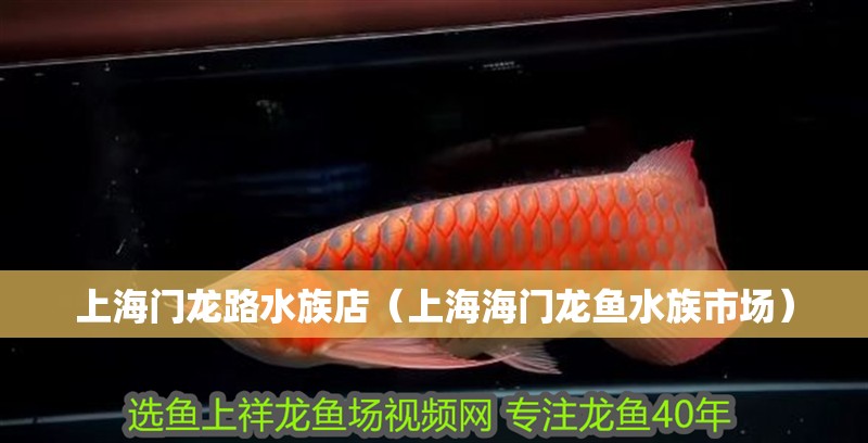 <strong><mark>上海</mark></strong>門龍路水族店（<strong><mark>上海</mark></strong>海門龍魚水族市場）