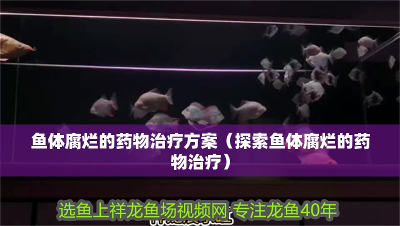 魚體腐爛的藥物治療方案（探索魚體腐爛的藥物治療）