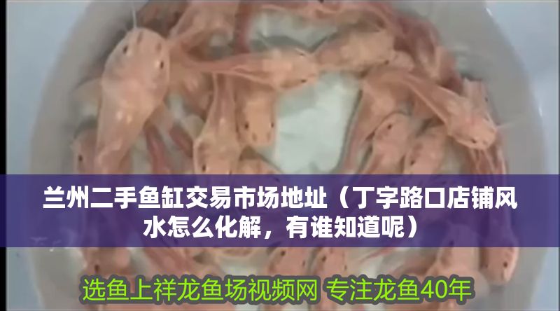 蘭州二手魚缸交易市場地址（丁字路口店鋪風水怎么化解，有誰知道呢）