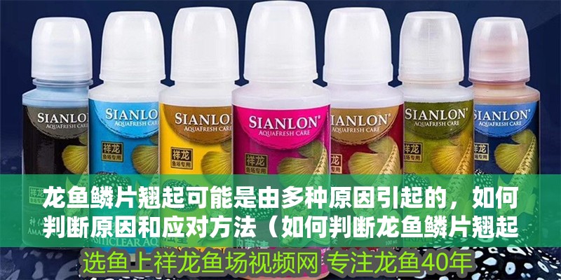 龍魚鱗片翹起可能是由多種原因引起的，如何判斷原因和應(yīng)對方法（如何判斷龍魚鱗片翹起？）