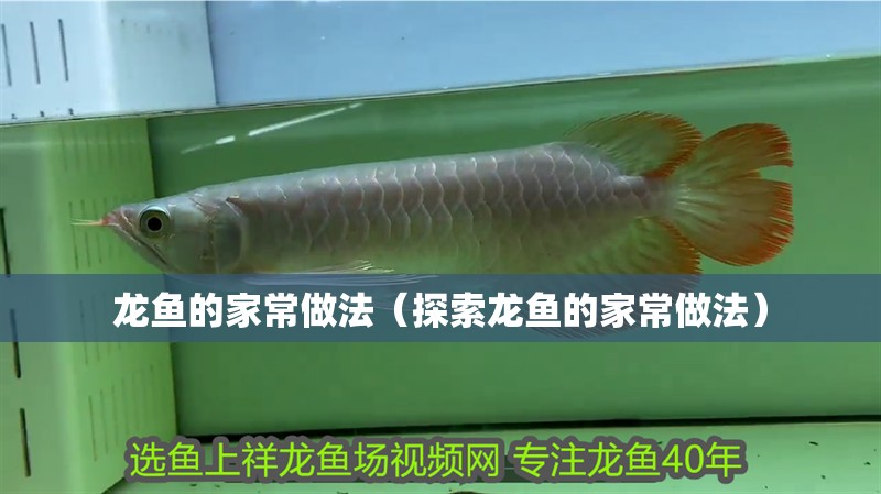 龍魚(yú)的家常做法（探索龍魚(yú)的家常做法）