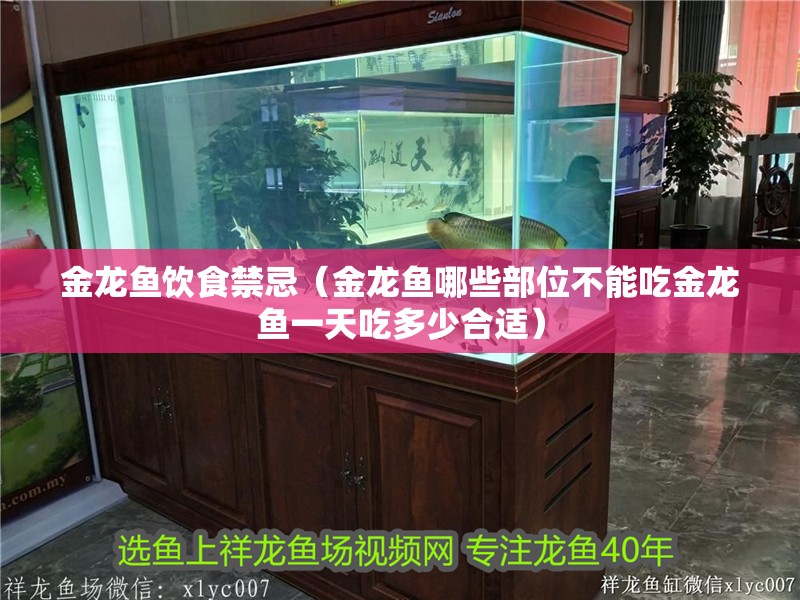 金龍魚飲食禁忌（金龍魚哪些部位不能吃金龍魚一天吃多少合適）