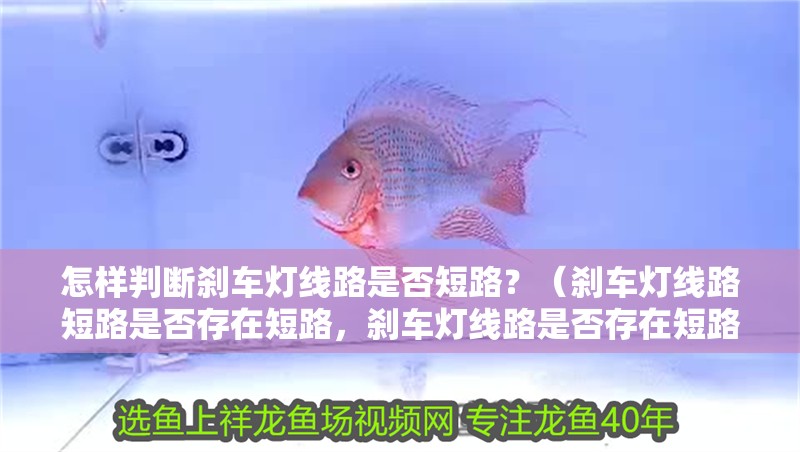 怎樣判斷剎車燈線路是否短路？（剎車燈線路短路是否存在短路，剎車燈線路是否存在短路問題）