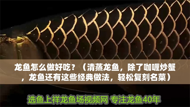 龍魚怎么做好吃？（清蒸龍魚，除了咖喱炒蟹，龍魚還有這些經典做法，輕松復刻名菜）