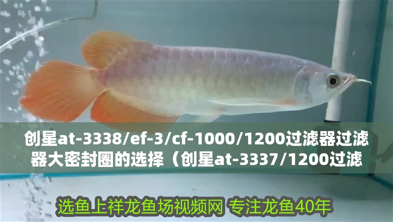創(chuàng)星at-3338/ef-3/cf-1000/1200過濾器過濾器大密封圈的選擇（創(chuàng)星at-3337/1200過濾器過濾桶大密封圈）