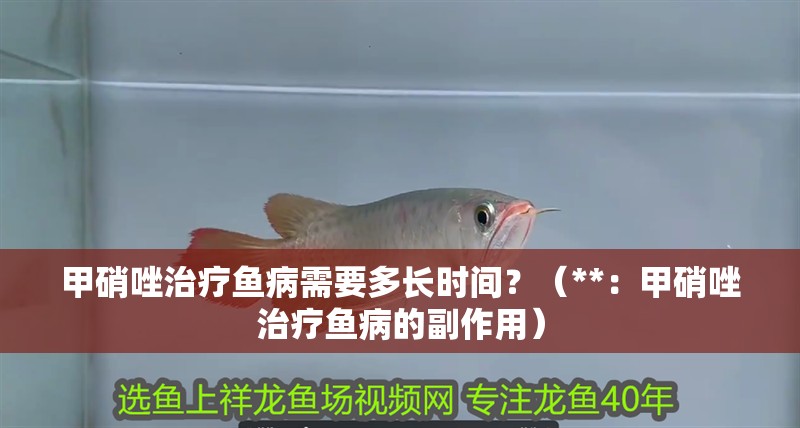 甲硝唑治療魚病需要多長時(shí)間？（**：甲硝唑治療魚病的副作用）