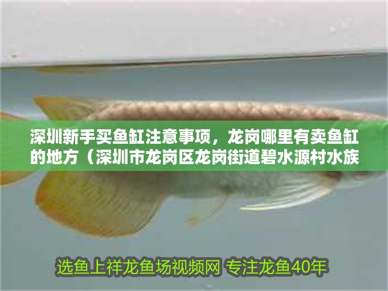 深圳新手買魚缸注意事項，龍崗哪里有賣魚缸的地方（深圳市龍崗區龍崗街道碧水源村水族市場）