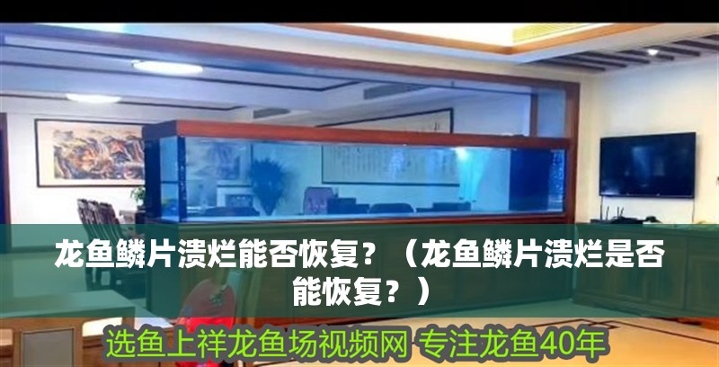 龍魚鱗片潰爛能否恢復？（龍魚鱗片潰爛是否能恢復？）