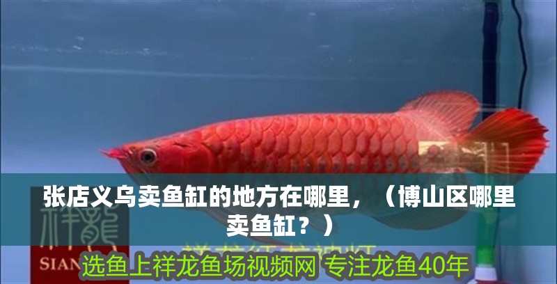 張店義烏賣魚缸的地方在哪里，（博山區(qū)哪里賣魚缸？）