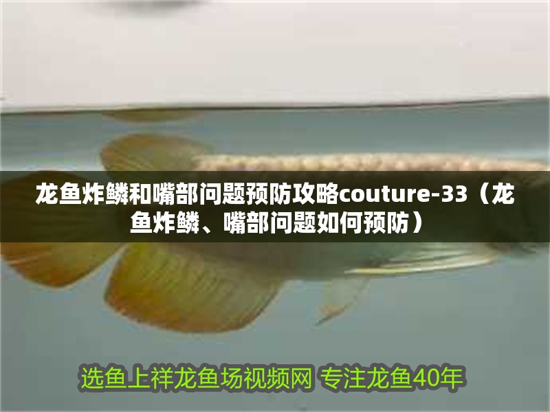 龍魚干蝦有營養嗎 龍魚炸鱗和嘴部問題預防攻略couture-33(龍魚炸鱗、嘴部問題如何預防) 龍魚百科 龍魚炸鱗和嘴部問題預防攻略couture-33(龍魚炸鱗、嘴部問題如何預防) 龍魚炸鱗和嘴部問題預防攻略couture-33(龍魚炸鱗、嘴部問題如何預防) 龍魚百科