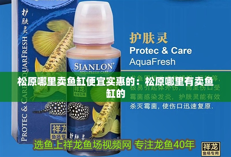 松原哪里賣魚缸便宜實惠的：松原哪里有賣魚缸的