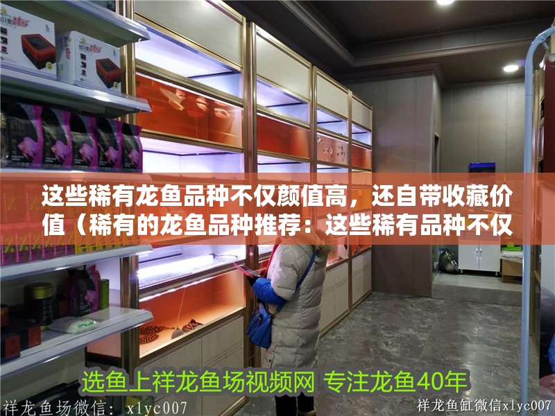 這些稀有龍魚品種不僅顏值高，還自帶收藏價值（稀有的龍魚品種推薦：這些稀有品種不僅顏值高）