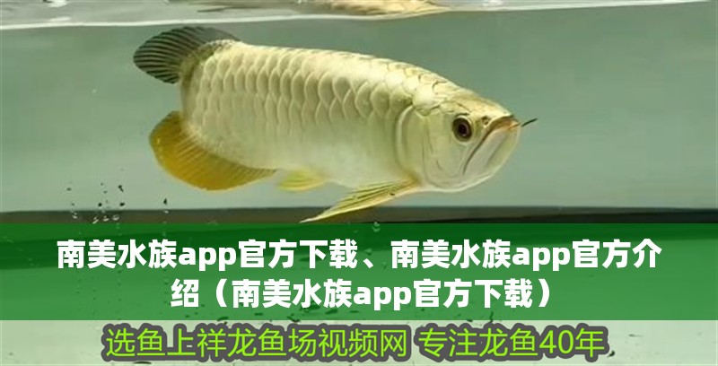 南美水族app官方下載、南美水族app官方介紹（南美水族app官方下載）