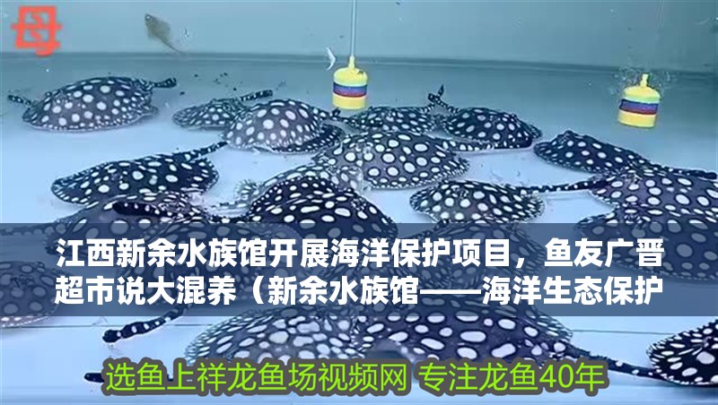 江西<strong><mark>新余</mark></strong>水族館開展海洋保護項目，魚友廣晉超市說大混養（<strong><mark>新余</mark></strong>水族館——海洋生態保護區）