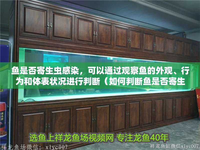 魚是否寄生蟲感染，可以通過觀察魚的外觀、行為和體表狀況進行判斷（如何判斷魚是否寄生蟲感染）