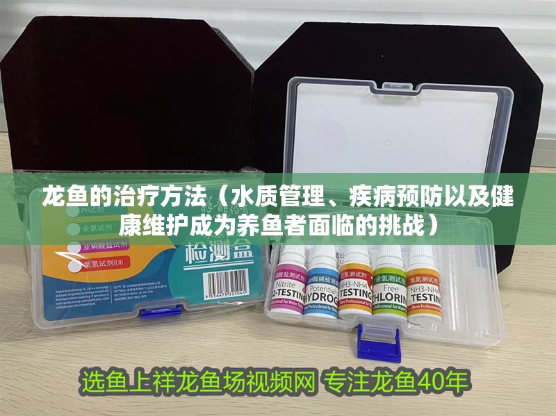 龍魚的治療方法（水質(zhì)管理、疾病預(yù)防以及健康維護(hù)成為養(yǎng)魚者面臨的挑戰(zhàn)）