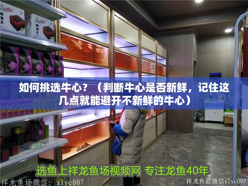 如何挑選牛心？（判斷牛心是否新鮮，記住這幾點就能避開不新鮮的牛心）