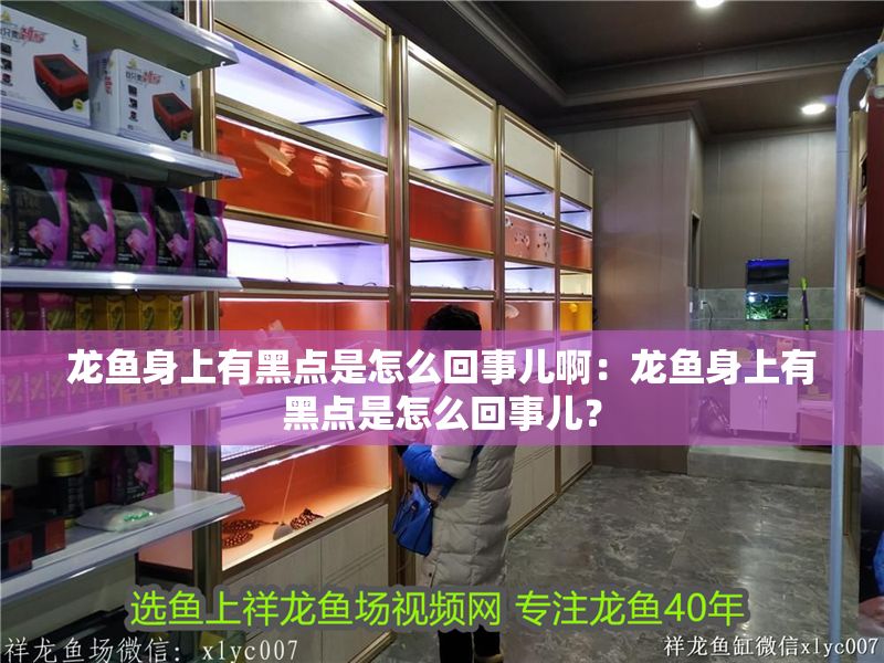 龍魚(yú)身上有黑點(diǎn)是怎么回事兒?。糊堲~(yú)身上有黑點(diǎn)是怎么回事兒？