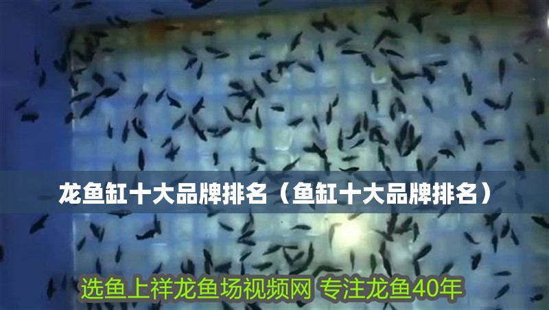 龍魚缸十大品牌排名（魚缸十大品牌排名）
