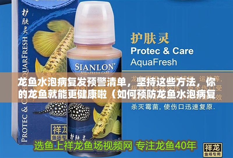 龍魚水泡病復發預警清單，堅持這些方法，你的龍魚就能更健康啦（如何預防龍魚水泡病復發）