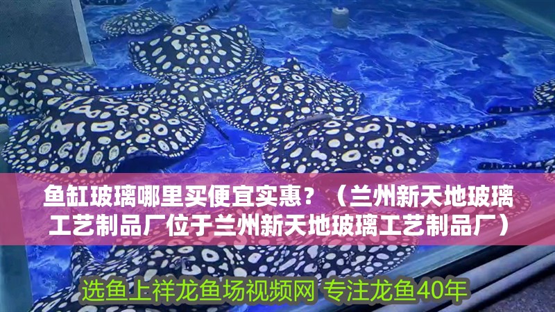 魚缸玻璃哪里買便宜實惠？（蘭州新天地玻璃工藝制品廠位于蘭州新天地玻璃工藝制品廠）