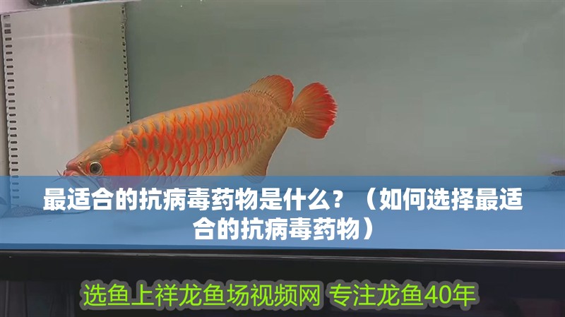 最適合的抗病毒藥物是什么？（如何選擇最適合的抗病毒藥物）