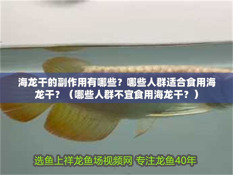 海龍干的副作用有哪些？哪些人群適合食用海龍干？（哪些人群不宜食用海龍干？）