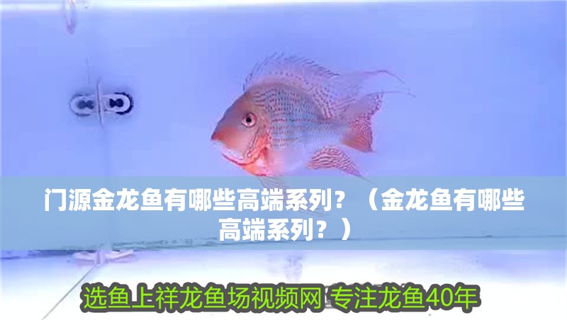 門源金龍魚有哪些高端系列？（金龍魚有哪些高端系列？）