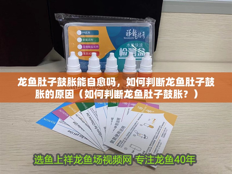 龍魚肚子鼓脹能自愈嗎，如何判斷龍魚肚子鼓脹的原因（如何判斷龍魚肚子鼓脹？）