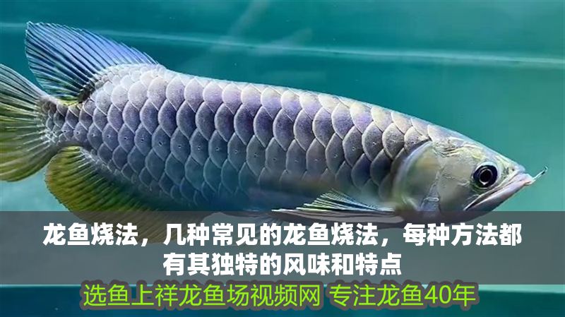 龍魚燒法，幾種常見的龍魚燒法，每種方法都有其獨(dú)特的風(fēng)味和特點(diǎn)
