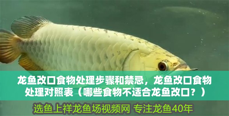 龍魚改口食物處理步驟和禁忌，龍魚改口食物處理對照表（哪些食物不適合龍魚改口？）