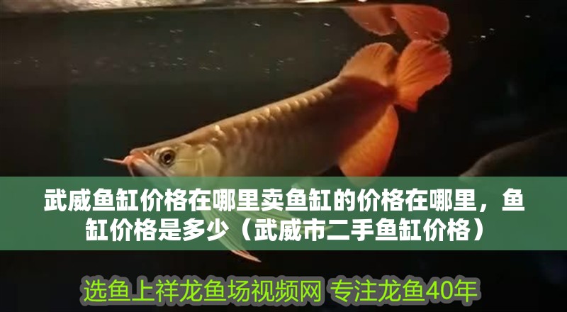 武威魚缸價格在哪里賣魚缸的價格在哪里，魚缸價格是多少（武威市二手魚缸價格）