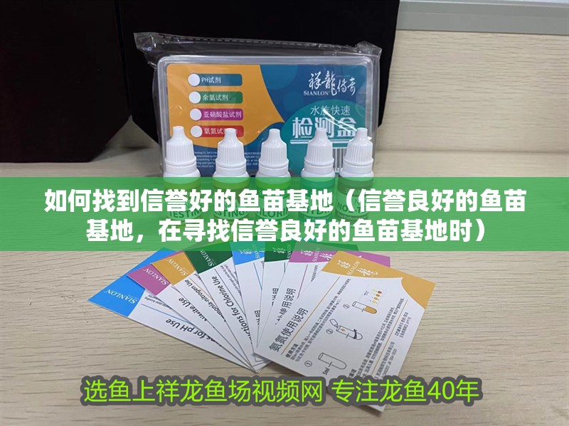 如何找到信譽好的魚苗基地（信譽良好的魚苗基地，在尋找信譽良好的魚苗基地時）