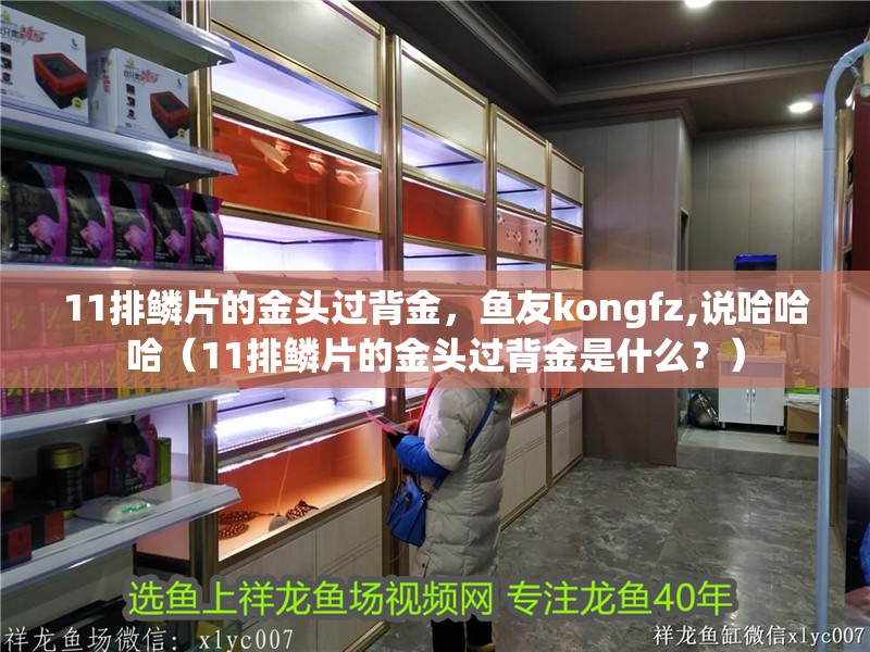 11排鱗片的金頭過背金，魚友kongfz,說哈哈哈（11排鱗片的金頭過背金是什么？）