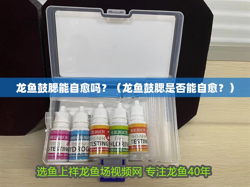 龍魚鼓腮能自愈嗎？（龍魚鼓腮是否能自愈？）