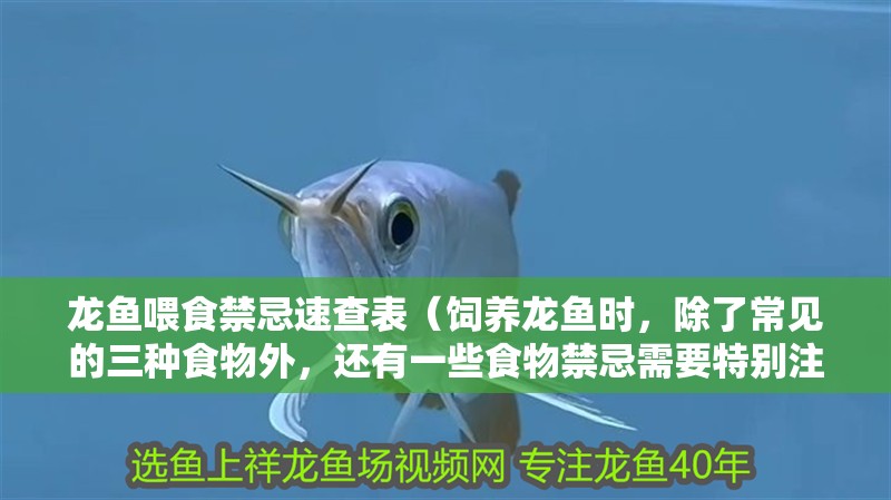 龍魚(yú)喂食禁忌速查表（飼養(yǎng)龍魚(yú)時(shí)，除了常見(jiàn)的三種食物外，還有一些食物禁忌需要特別注意）