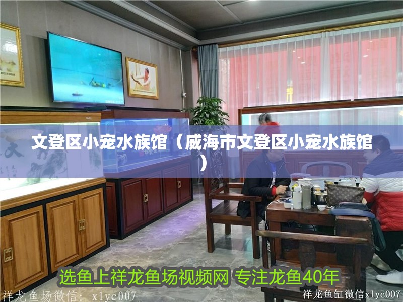 文登區小寵水族館（威海市文登區小寵水族館）