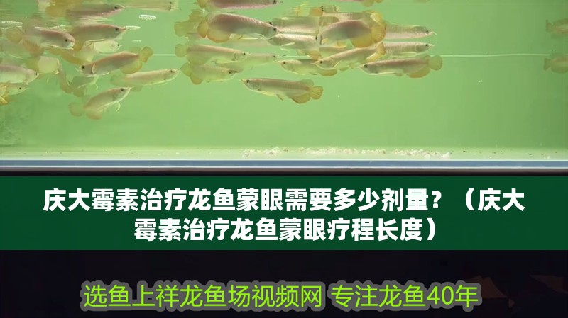 慶大霉素治療龍魚蒙眼需要多少劑量？（慶大霉素治療龍魚蒙眼療程長(zhǎng)度）