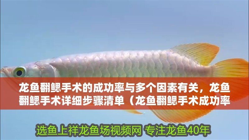 龍魚翻鰓手術的成功率與多個因素有關，龍魚翻鰓手術詳細步驟清單（龍魚翻鰓手術成功率大概是多少？）