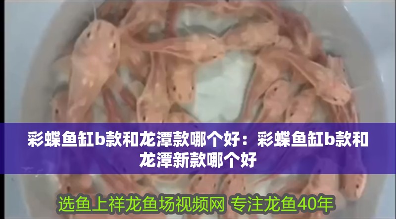 彩蝶魚缸b款和龍潭款哪個好：彩蝶魚缸b款和龍潭新款哪個好