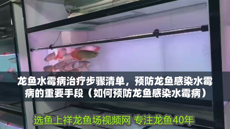龍魚水霉病治療步驟清單，預防龍魚感染水霉病的重要手段（如何預防龍魚感染水霉病）