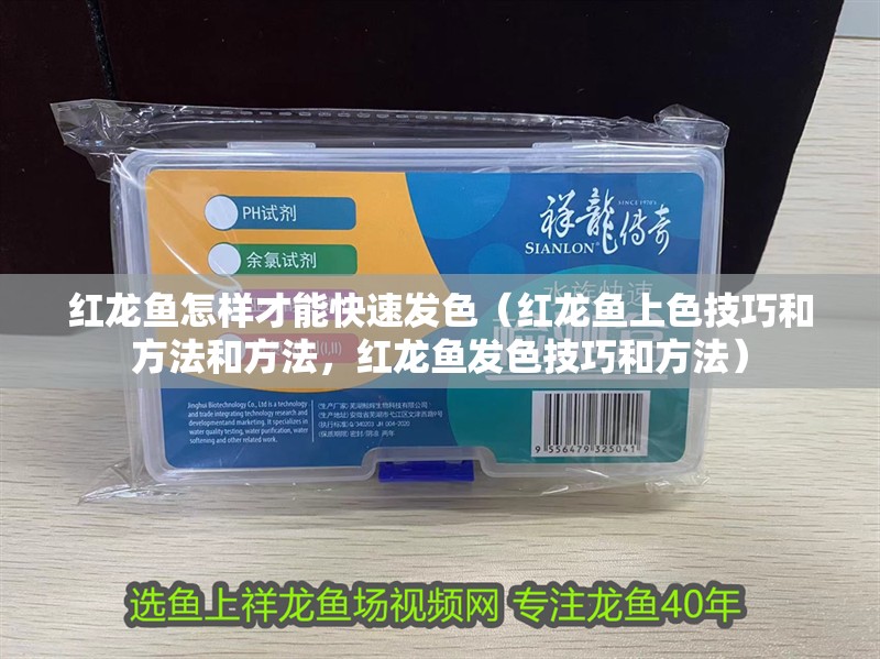 紅龍魚怎樣才能快速發色（紅龍魚上色技巧和方法和方法，紅龍魚發色技巧和方法）