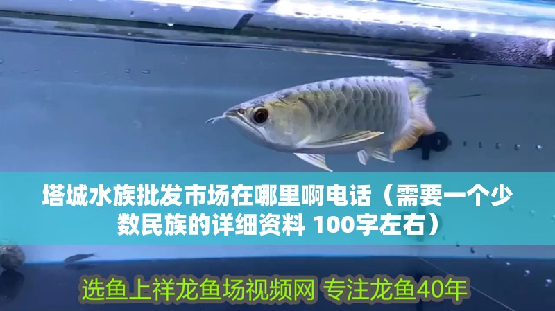 塔城水族批發市場在哪里啊電話（需要一個少數民族的詳細資料 100字左右）